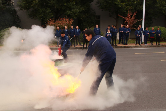 8701542694700592.jpg 3.jpg