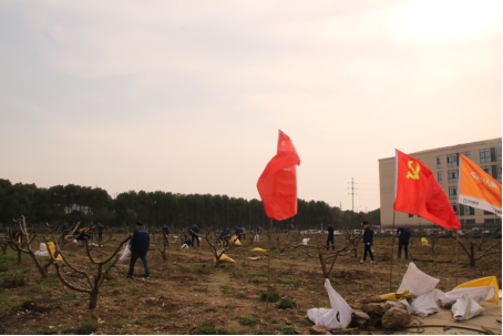 977155260876288.png image.png