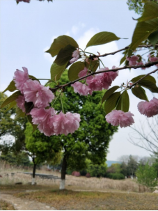 10001555547111595.png image.png