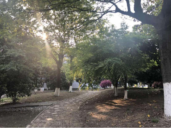 3721555547056774.jpg 3_副本.jpg