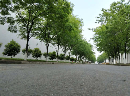 509155554704090.jpg 1_副本.jpg