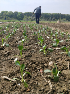 5701555547324380.png image.png