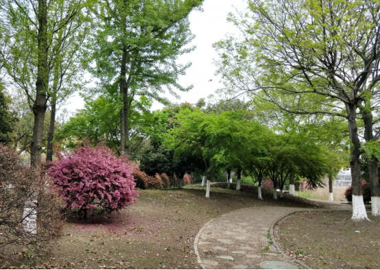 6181555547048352.jpg 2_副本.jpg