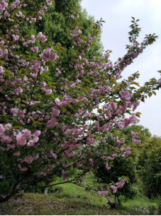 6771555547103593.png image.png