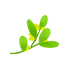 9311555547312440.jpg 1555547624(1).jpg